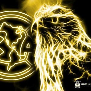 Meet your Posher, Cesar